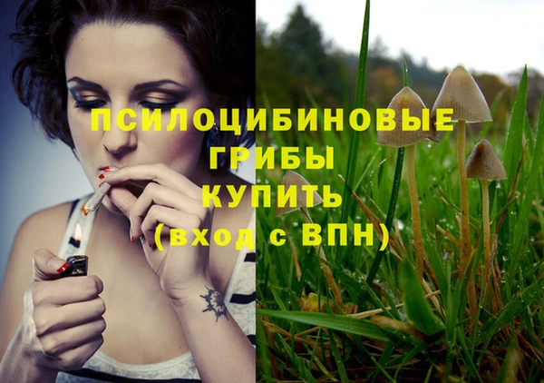 дживик Медногорск