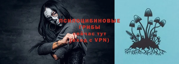 ALPHA-PVP Медвежьегорск
