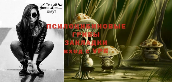 дживик Медногорск