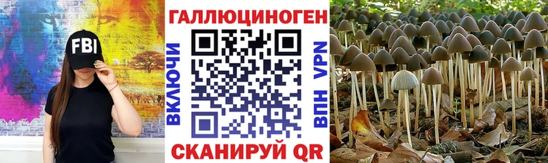 где купить наркотик  Ессентуки  Галлюциногенные грибы прущие грибы 