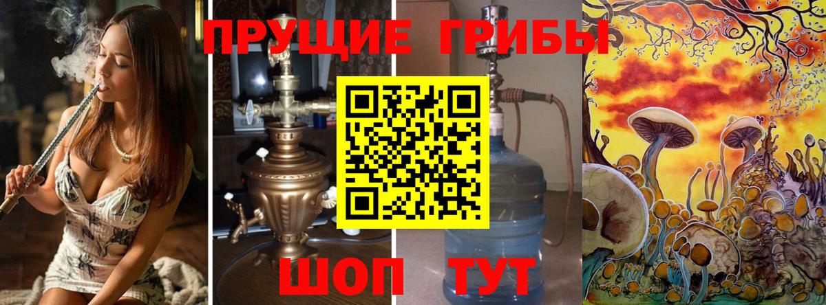 Ессентуки  Галлюциногенные грибы Cubensis  Галлюциногенные грибы Cubensis  Вход с VPN 