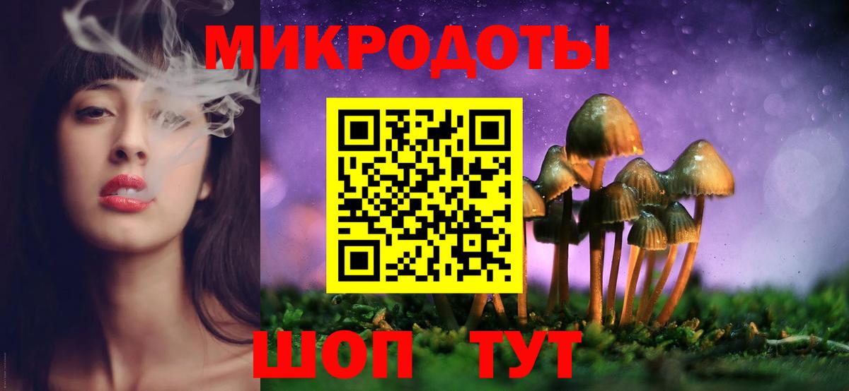 Галлюциногенные грибы Psilocybine cubensis Ессентуки