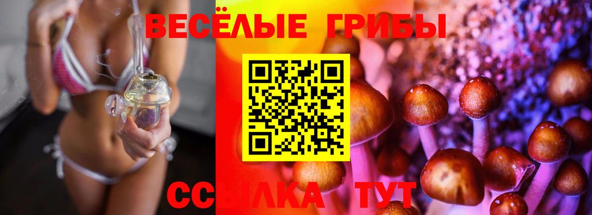 Галлюциногенные грибы GOLDEN TEACHER Ессентуки